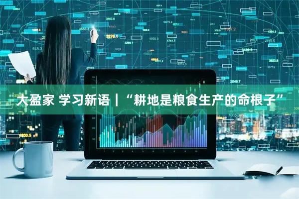 大盈家 学习新语｜“耕地是粮食生产的命根子”